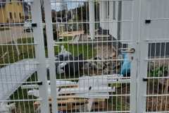 Bildnummer:Tür-DSM-15